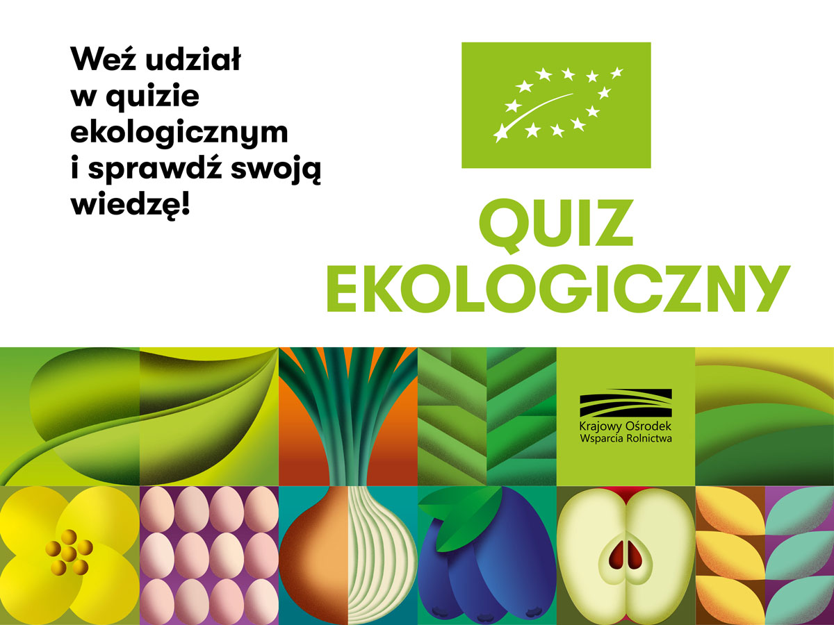 Quiz ekologiczny – sprawdź swoją wiedzę