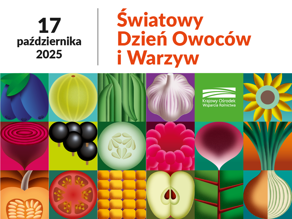 Światowy Dzień Owoców i Warzyw