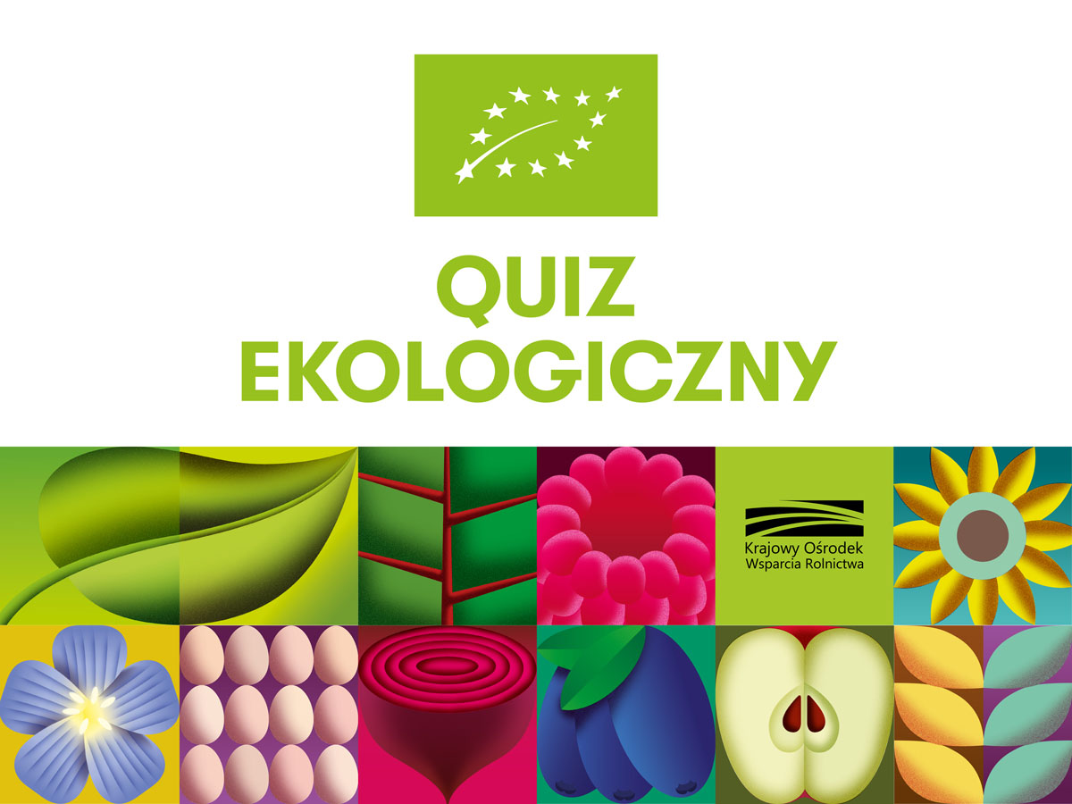 Zakończenie konkursu „Quiz ekologiczny”