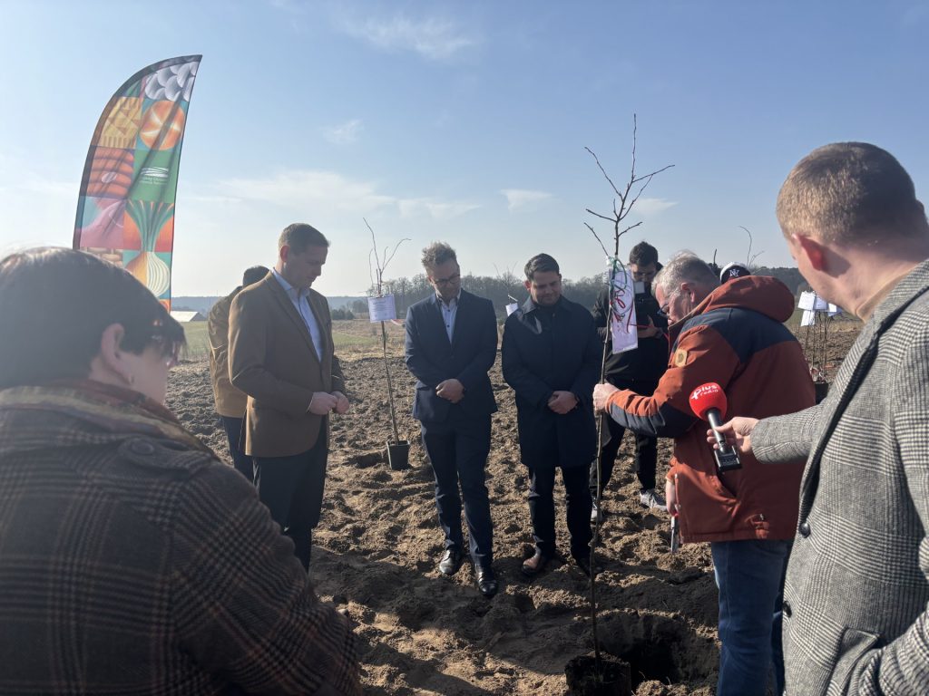 Grupa osób stoi na polu podczas symbolicznego sadzenia młodej jabłoni renety landsberskiej – historycznej odmiany jabłoni pochodzącej z Gorzowa Wielkopolskiego. Jeden z uczestników pokazuje sadzonkę, a obok widoczny jest mikrofon reporterski i tabliczka przy drzewku.