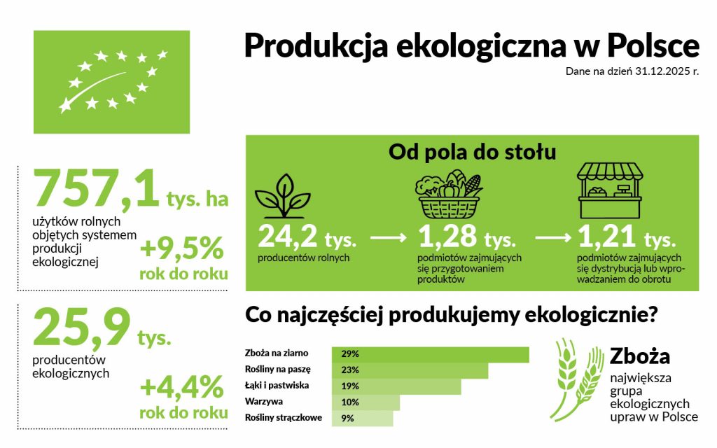 Produkcja ekologiczna w Polsce w 2025 roku – 757,1 tys. ha użytków rolnych i 25,9 tys. producentów ekologicznych